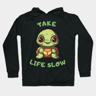 Cute Turtle, Take Life Slow Hoodie